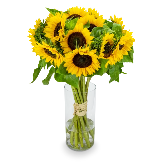 Bouquet of sunflowers